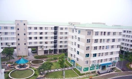 Lãi suất cho người trẻ vay mua nhà hiện ra sao? 