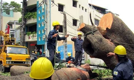 Lãnh đạo TP HCM đồng ý để Sở Lao động - Thương binh và Xã hội cung cấp hồ sơ, tài liệu liên quan đến sai phạm tại 4 công ty Công ích cho Công an TP HCM để cơ quan này điều tra theo quy định