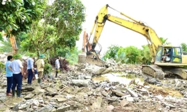 Vụ cưỡng chế nhà vườn 'triệt hạ' luôn cả cây xanh, hồ cá: Yêu cầu báo cáo kết quả kiểm tra trước ngày 10/10