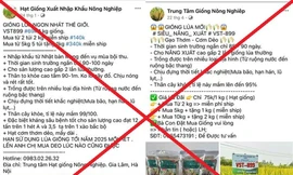 7 đối tượng lừa bán thóc giống giả chiếm đoạt gần 8 tỷ đồng