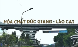 Yêu cầu làm rõ số tiền thu lợi của Cty Hoá chất Đức Giang - Lào Cai và Cty Phốt pho vàng Việt Nam