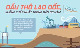 Dầu thô lao dốc kỷ lục, 'chạm đáy' trong gần 30 năm