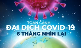 Toàn cảnh đại dịch COVID - 19 sau 6 tháng 'tấn công' toàn thế giới