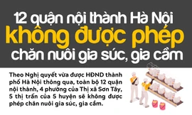 12 quận nội thành Hà Nội không được phép chăn nuôi gia súc, gia cầm