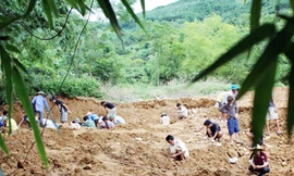 Săn đá trắng và những cuộc hỗn chiến