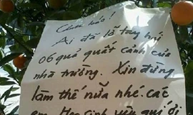 Nhà trường 'cấm hái quất' khiến học sinh phì cười