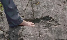 Đây là dấu chân chứng minh cho người khổng lồ?