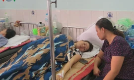 Mới nhất vụ điều chuyển cô giáo tự tử ở Hải Phòng