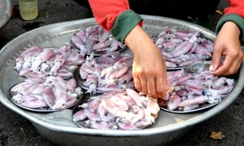 Khu chợ thực phẩm đĩa độc đáo nhất Sài Gòn