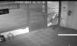 Tên trộm siêu đãng trí