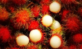 Tác dụng không ngờ của chôm chôm với sức khỏe và làm đẹp