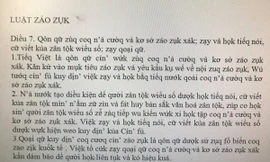  Đoạn văn bản sau khi Tiếng Việt được cải cách theo đề xuất của PGS.TS Bùi Hiền.