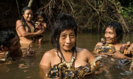 Phụ nữ bộ lạc Awá tắm sông cùng những con rùa họ nuôi. Ảnh: NATIONAL GEOGRAPHIC