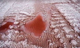 Hồ muối ở tỉnh Sơn Tây, Trung Quốc chuyển sang màu hồng. Ảnh: CCTV.