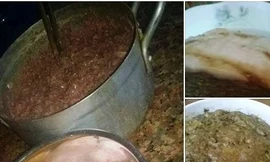 Hỏng đường ruột vì ăn pate 'bẩn'