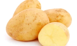 Ảnh: stylecraze.com.