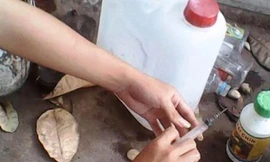 Chất bột được hòa tan còn để tiêm thẳng vào trái cây. (Ảnh Nguyên Hoàng) 