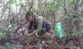 Người dân Quảng Lưu nhặt lộc trời. Ảnh: Hoàng Táo