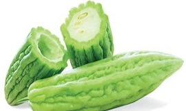 Những ai không nên ăn mướp đắng?