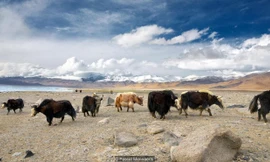 Ngôi làng sống trên 'nóc nhà thế giới'