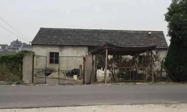 Cô gái 19 tuổi sửa kho bỏ hoang thành nhà vườn xanh mướt