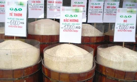 Rất khó nhận biết gạo tẩm hương liệu bằng mắt thường mà phải thông qua sử dụng.Ảnh: Chí cường 