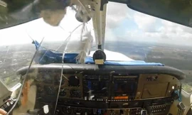 Chim đâm thủng kính máy bay, lao vào mặt phi công