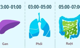 Những thói quen đơn giản giúp bạn sống lâu