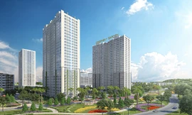 Bất động sản Hạ Long: Căn hộ trung tâm lên ngôi