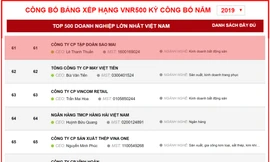 Sao Mai Group lọt TOP 100 doanh nghiệp lớn nhất Việt Nam 2019
