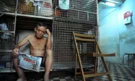 Phận người trong những lồng sắt ở Hong Kong