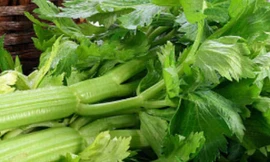 Các thực phẩm không chứa calo ăn thoải mái không lo béo