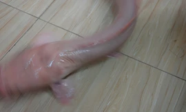 Con cá trê trắng anh Thiện câu được