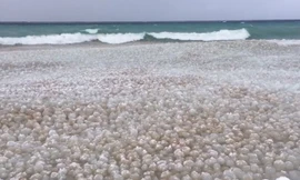 Kỳ ảo, hàng nghìn 'quả bóng băng' trôi nổi trên mặt hồ Mỹ