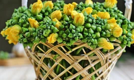 5 món ngon từ hoa mướp bổ dưỡng không ngờ