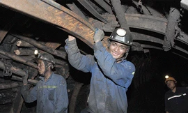 Than Núi Béo nỗ lực đạt doanh thu đạt 412 tỷ đồng