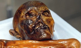 Sự thật khó ngờ xác ướp người băng bí ẩn nhất thế giới