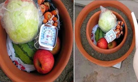 Công cụ giữ lạnh đặc biệt có tác dụng bảo quản thực phẩm không thua kém gì tủ lạnh.