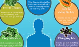 Ăn uống gì tốt cho từng bộ phận cơ thể?