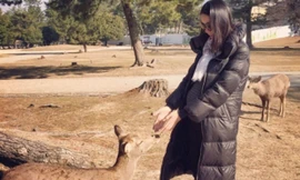 Hoa hậu Trương Tử Lâm khoe bụng bầu sáu tháng