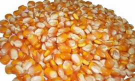 Các loại hạt giúp tăng bản lĩnh đàn ông