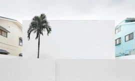 Ngôi nhà trắng 'không tỳ vết' ở Nhật