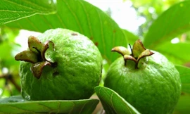 Không cần đến nha sĩ vẫn có thể tự làm trắng răng