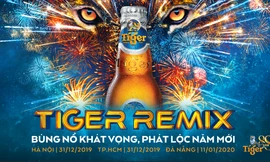 Đánh dấu năm mới ‘nổ tung’ với ‘cơn bão âm nhạc’ Tiger Remix 2020