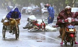 Gió bão khiến các phương tiện khó khăn khi di chuyển tại thành phố Hải Khẩu, tỉnh Hải Nam sáng ngày 16/9.