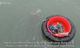 Lặn biển hàng giờ tìm tu hài dưới vịnh Vân Phong