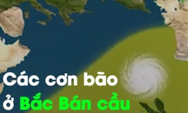 Tại sao các cơn bão xoay ngược chiều kim đồng hồ?