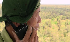 Nguy cơ cao cháy rừng U Minh Hạ