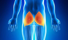 Tại sao ngồi nhiều có thể gây teo cơ?