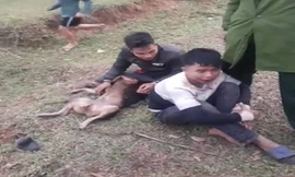 Hai "cẩu tặc" bị người dân bắt giữ và vây đánh.